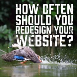 How Often Should You Redesign Your Website