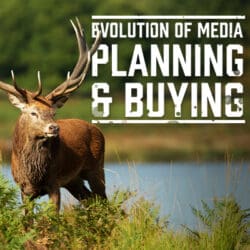 Planning and buying